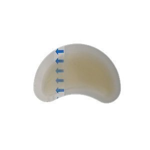 Blood blister plaster