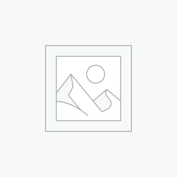 Silicone adhesive foam dressing